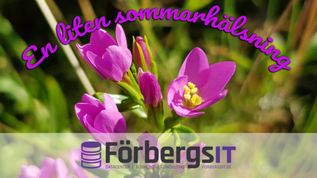 En liten sommarhälsning